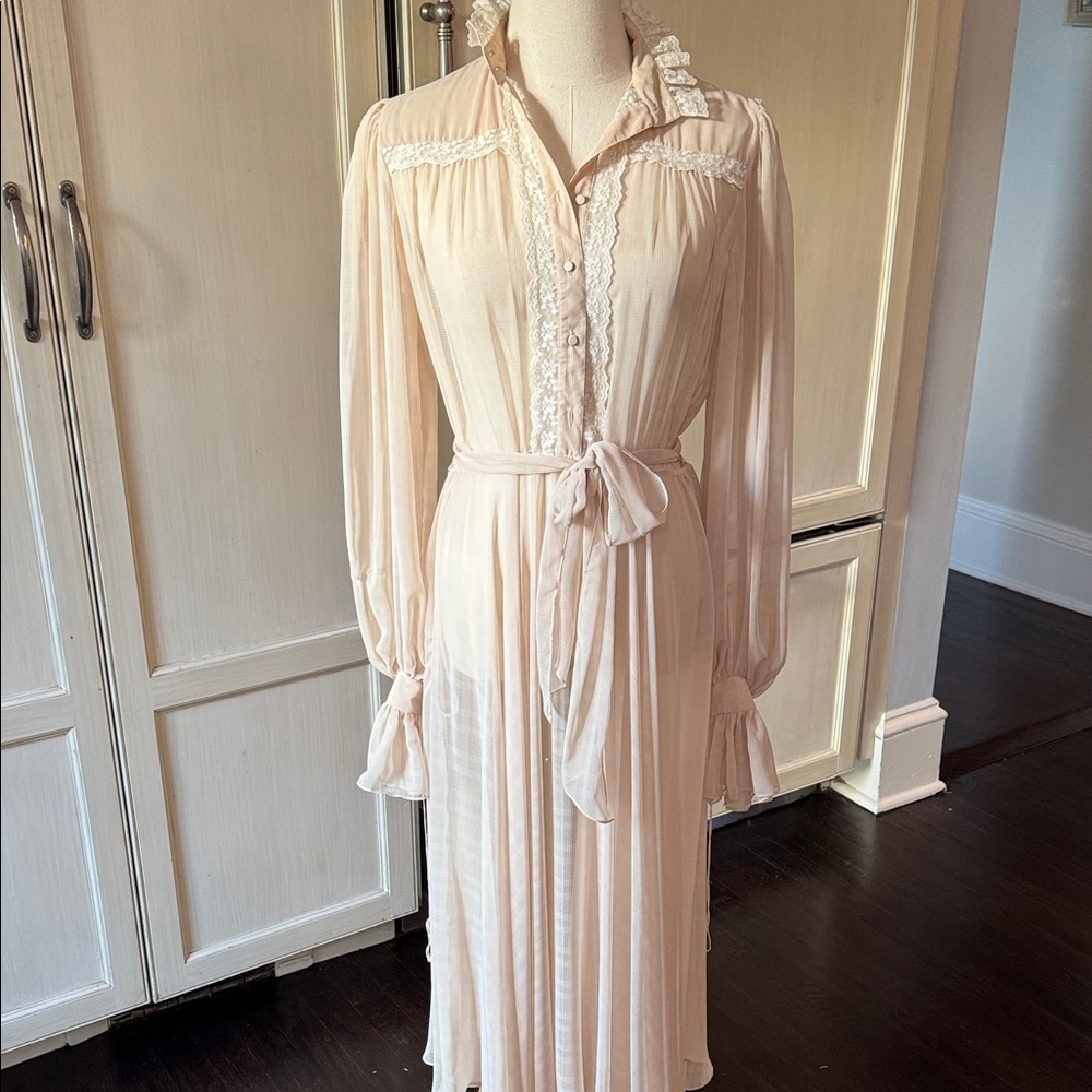 Vintage sheer Lace-Trimmed Dress